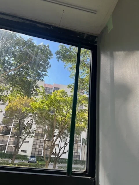 A dark-framed window viewed from inside a room.